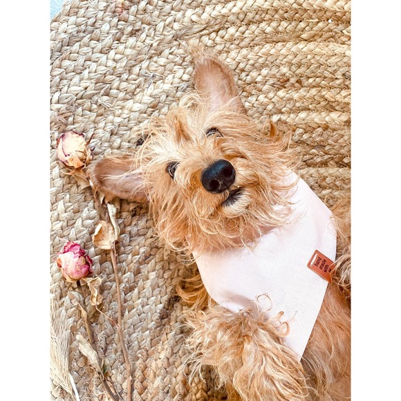 Handmade dog bandana "Lovely in Pink" Valentines day edition - Picture 5 of 8